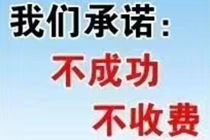 镇康追款公司